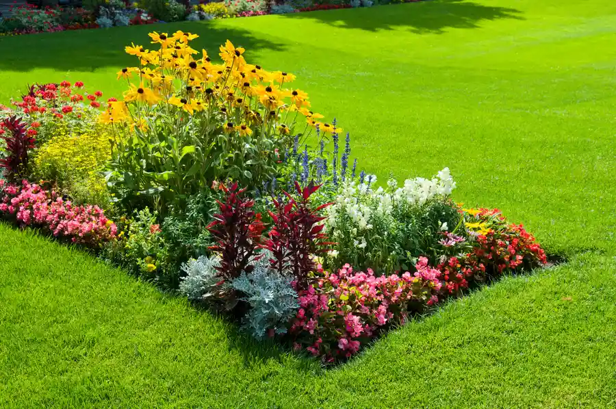 How To Choose Plants That Complement Your Landscape Design Gainesville, VA How To Choose Plants That Complement Your Landscape Design Gainesville, VA